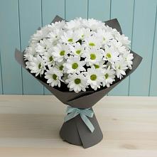 Букет цветов из:  Хризантемы в Лаврово