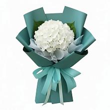 Букет цветов из:  Гортензия #REPLACE_PRED# Лаврово